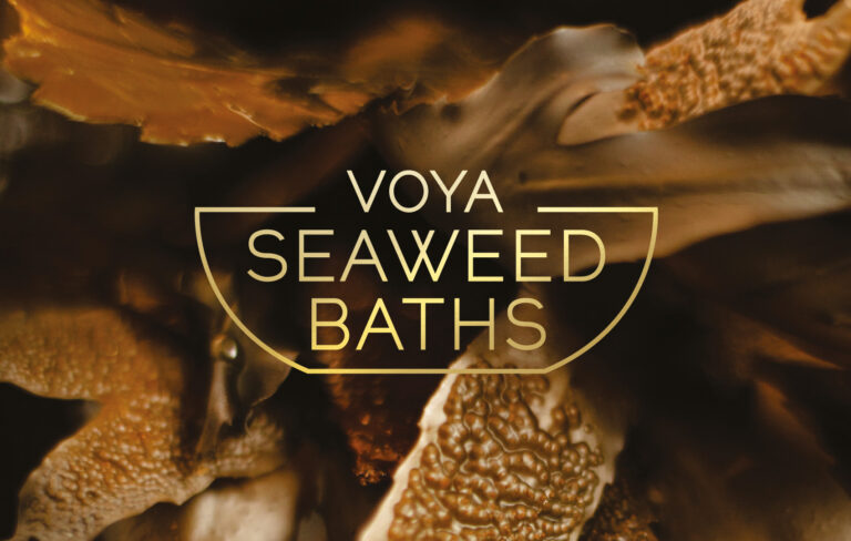 Image of Voya logo on background