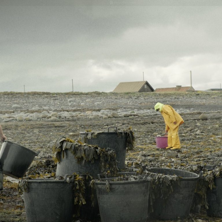 Seaweed harvester collecting seaweed into buckets on the Sligo coastline