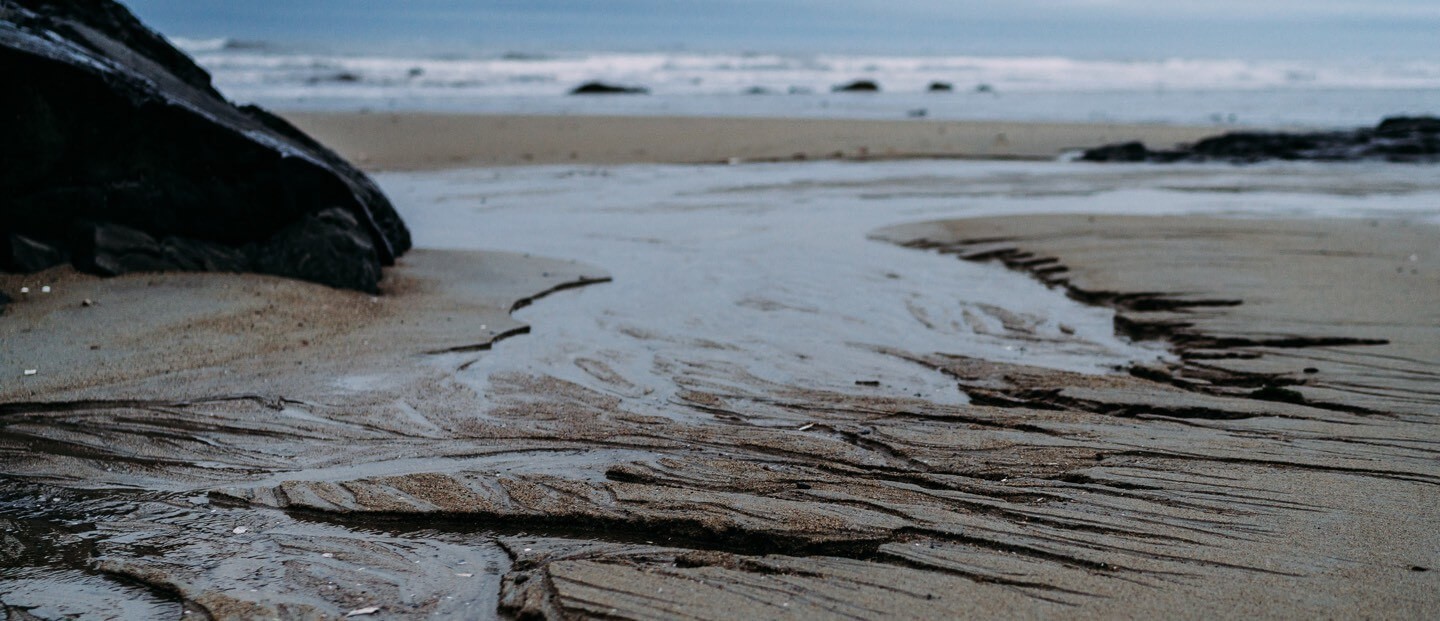 The shore with waves crashing in the background